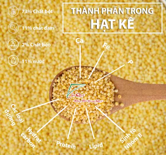 tác dụng thần kì của hạt kê đối với sức khỏe